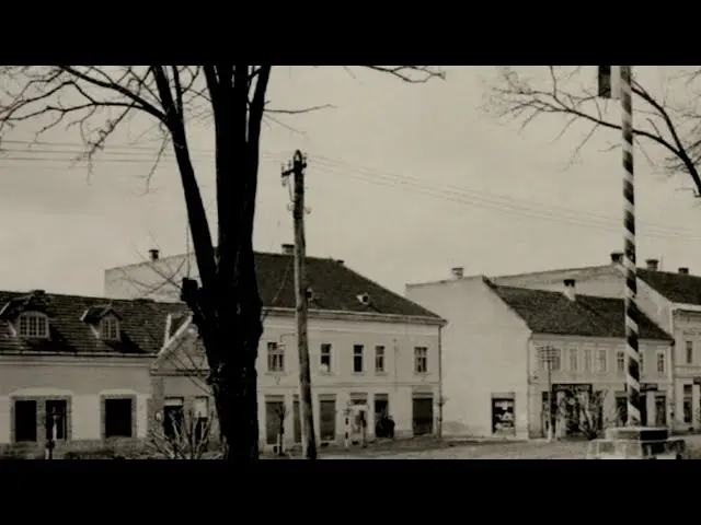 Ipekakuána avagy baróti feljegyzések