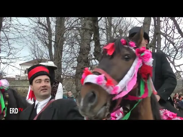 Carnavalul din Belin, 2017