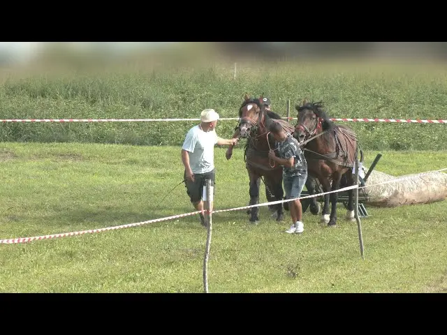 Log pulling race in Bățanii Mari