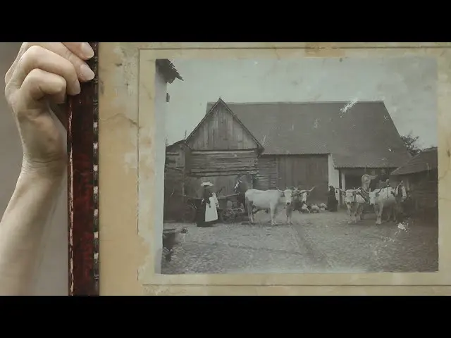 Who lived, how did they live in Baraolt? The central part of Kossuth Lajos Street