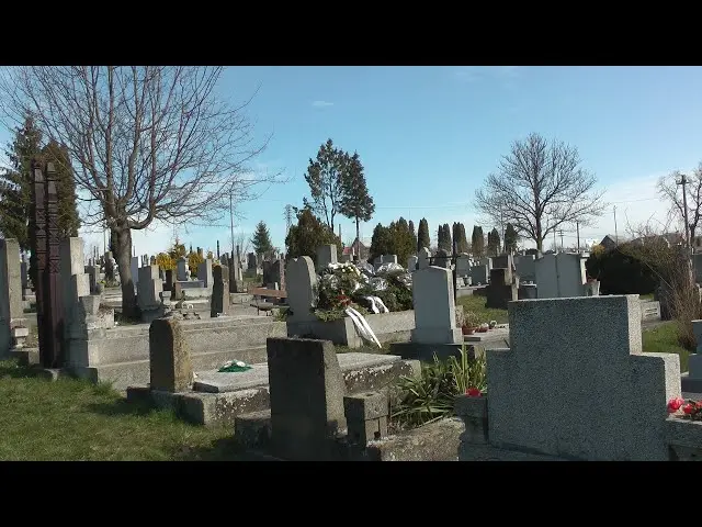 Keep the cemetery tidy