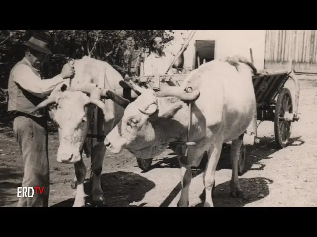 Cine a trăit, cum au trăit în Aita Mare. Memoriile lui Aron Dombi (Partea a 2-a)