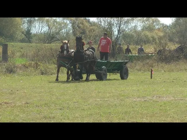 Equestrian programs in Racoșul de Sus on the autumn Thanksgiving holiday, 2019