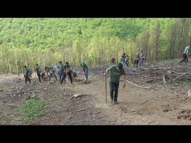 Afforestation in Aita Seacă with the participation of students