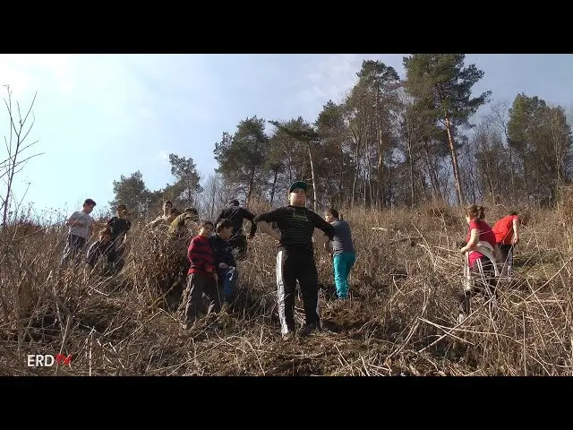 Memorial Forest in Aita Medie