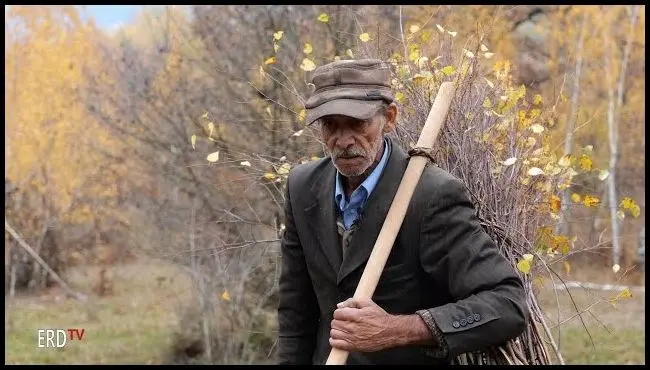 Broom binding. Manufacture of birch brooms in Filia