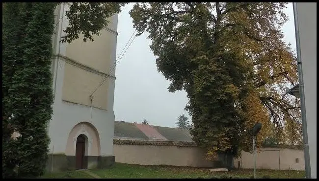 Historic Memorial Tree Association