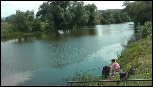 Charity fishing competition at Lake Pumpaházi