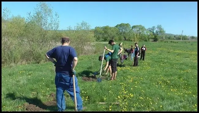 Facsemete ültetés Baróton