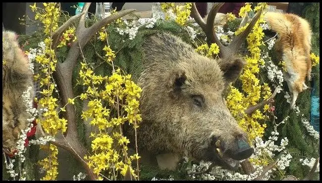 Întâlnire vânător-pescăr la Baraolt