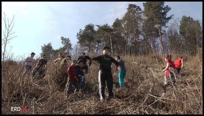 Aita Medie Memorial Forest